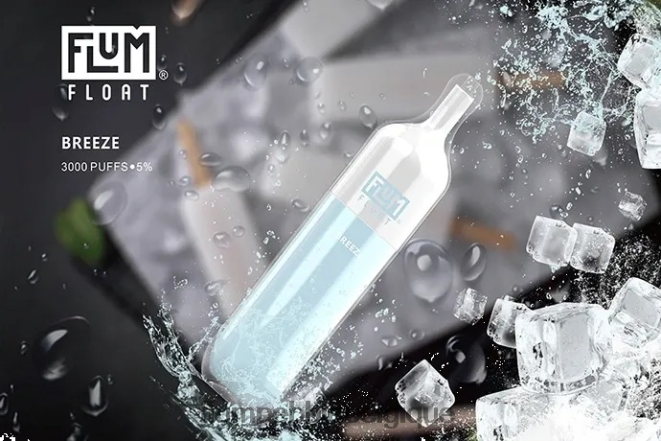 FLUM FLOAT 3000 bouffées Z4DJ8N19 brise FLUM PEBBLE flavors FLUM FLOAT 3000 bouffées Z4DJ8N19 brise FLUM PEBBLE flavors