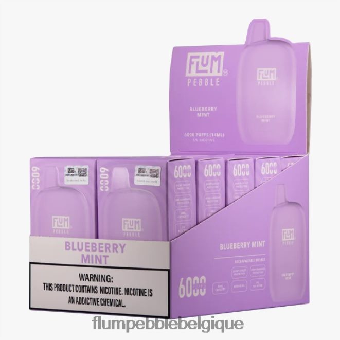 FLUM PEBBLES 6000 bouffées 10 paquets Z4DJ8N18 menthe myrtille FLUM PEBBLE vape website FLUM PEBBLES 6000 bouffées 10 paquets Z4DJ8N18 menthe myrtille FLUM PEBBLE vape website
