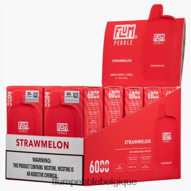 FLUM PEBBLES 6000 bouffées 10 paquets Z4DJ8N77 pastèque FLUM PEBBLE vape review FLUM PEBBLES 6000 bouffées 10 paquets Z4DJ8N77 pastèque FLUM PEBBLE vape review