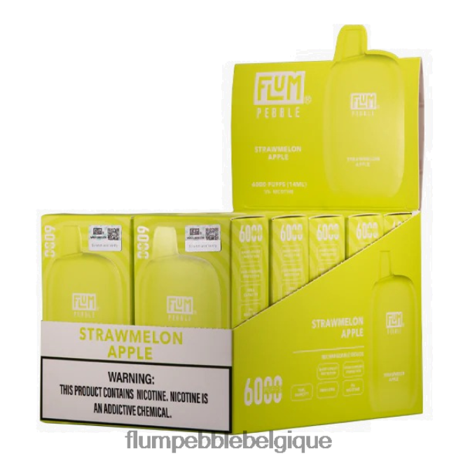 FLUM PEBBLES 6000 bouffées 10 paquets Z4DJ8N79 pomme pastèque FLUM PEBBLE flavors FLUM PEBBLES 6000 bouffées 10 paquets Z4DJ8N79 pomme pastèque FLUM PEBBLE flavors