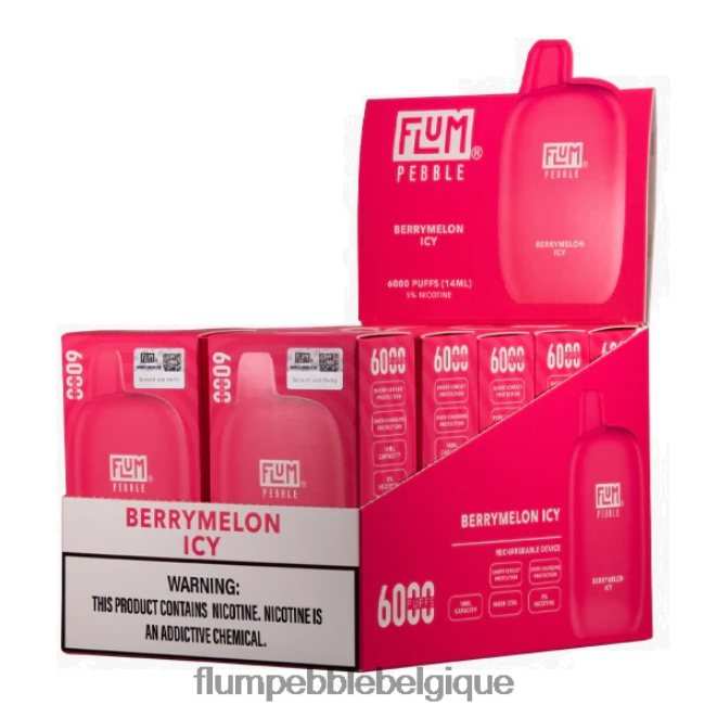 FLUM PEBBLES 6000 bouffées 10 paquets Z4DJ8N8 melon glacé FLUM PEBBLE vape website FLUM PEBBLES 6000 bouffées 10 paquets Z4DJ8N8 melon glacé FLUM PEBBLE vape website