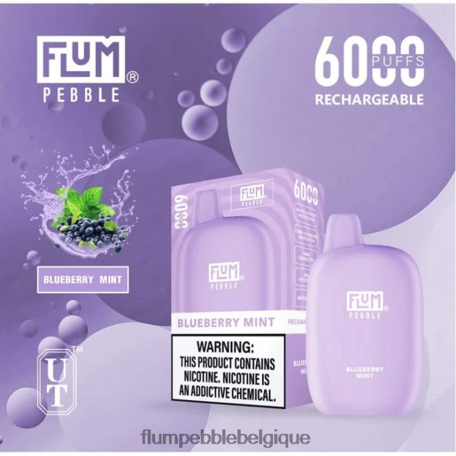 FLUM PEBBLES 6000 bouffées Z4DJ8N17 menthe myrtille FLUM PEBBLE vape review FLUM PEBBLES 6000 bouffées Z4DJ8N17 menthe myrtille FLUM PEBBLE vape review