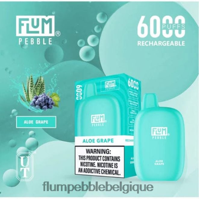 FLUM PEBBLES 6000 bouffées Z4DJ8N1 raisin d'aloès FLUM PEBBLE belgique FLUM PEBBLES 6000 bouffées Z4DJ8N1 raisin d'aloès FLUM PEBBLE belgique