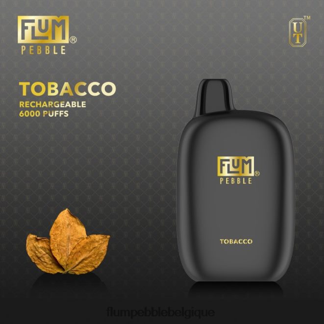 FLUM PEBBLES 6000 bouffées Z4DJ8N83 le tabac FLUM PEBBLE vape belgique FLUM PEBBLES 6000 bouffées Z4DJ8N83 le tabac FLUM PEBBLE vape belgique