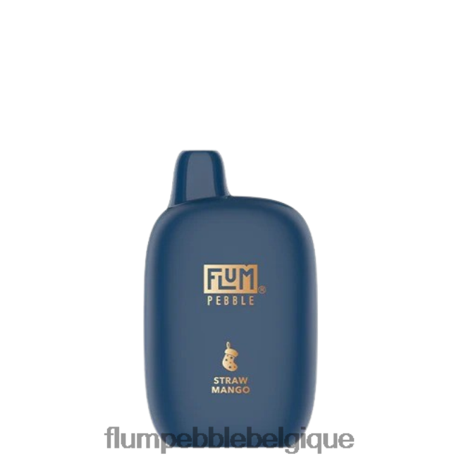 FLUM PEBBLES 6000 bouffées (édition de Noël) Z4DJ8N45 mangue paille FLUM PEBBLE vape price FLUM PEBBLES 6000 bouffées (édition de Noël) Z4DJ8N45 mangue paille FLUM PEBBLE vape price